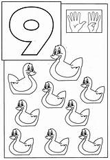 Coloring Pages Ducks Animals Numbers sketch template