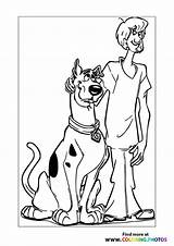 Scooby Shaggy sketch template