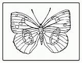 Coloring Butterfly Pages Realistic Painted Lady Comments Library Getdrawings Getcolorings sketch template