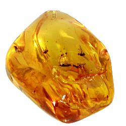 amber crystallography