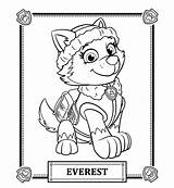 Colorir Desenhos Everest Canina Patrulha Visitar sketch template