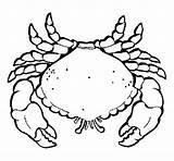 Crab Large Coloring Coloringcrew Colorear Book sketch template