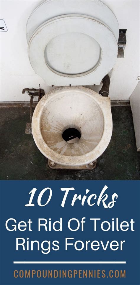 tricks   rid  toilet rings  cleaning hacks