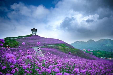 la cina  primavera  luoghi piu spettacolari da visitare  la