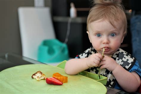 baby led weaning la tendencia en cuanto  alimentacion de bebes