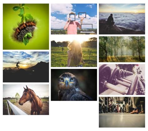 16 best wordpress photo gallery plugins compared with examples