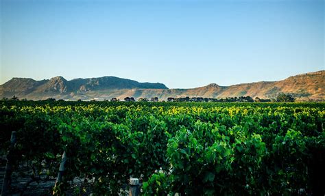 constantia uitsig wine farm  restaurant utforska sydafrika