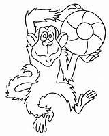 Coloring Monkey Pages Cute Monkeys Printable Comments Animal sketch template