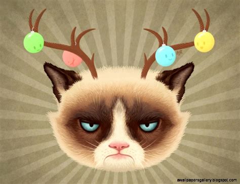grumpy cat christmas wallpaper gallery