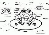 Coloring Pages Frog Nature Scenes Drawing Sheets Frogs Cartoon Kids Pond Printable Coqui Color House Toad Cycle Life Print Around sketch template