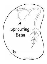 Bean Germination Seed Coloring Sprouting Pages Book Sprout Printable Shape Plant Science Enchantedlearning Template Kindergarten Plants Books Preschool Color Cover sketch template