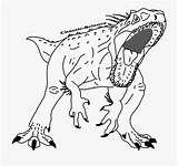 Rex Indominus Jurassic Indoraptor Ausmalbilder Mosasaurus Dinosaurier Adults sketch template