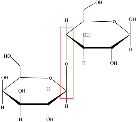 glycosidic bond alpha beta