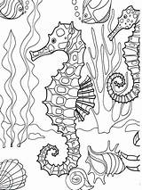 Coloring Pages Seahorse Sea Ocean Printable Under Print sketch template