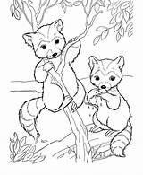 Woodland Coloring Pages Creatures Animal Animals Popular sketch template