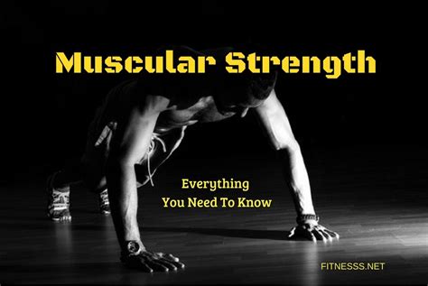 muscular strength      fitness sports