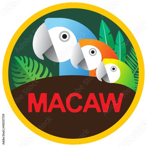 macaw logo stock image  royalty  vector files  fotoliacom pic
