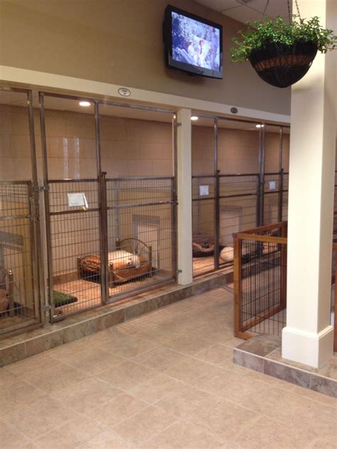 dog  large animal custom enclosures midmark corporation dog boarding kennels dog hotel
