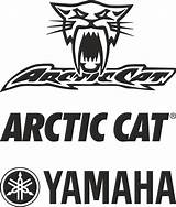 Cat Arctic Logo Vector Cdr Vectors  Zoom Click 3axis sketch template
