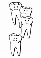 Denti Dientes Dente Tanden Dents Educima Educolor Schoolplaten Téléchargez Scarica sketch template