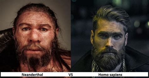 neanderthal vs homo sapien what are the differences