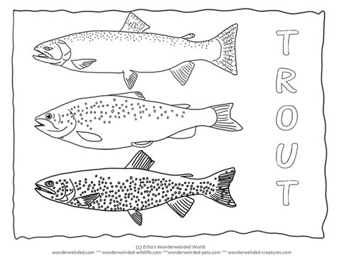 trout coloring page collectionfrom  wonderweirded fish coloring