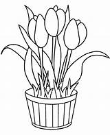 Tulips Kwiaty Kolorowanka Doniczce Kolorowanki Tulipany Druku Dla Malowanka Wiosna sketch template