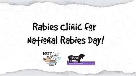 rabies clinic  national rabies day dirty dog spa