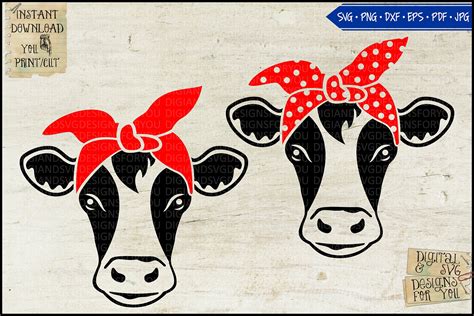Drawing And Illustration Cow Cut File Cow Cricut Cow Clipart Cow Face Png