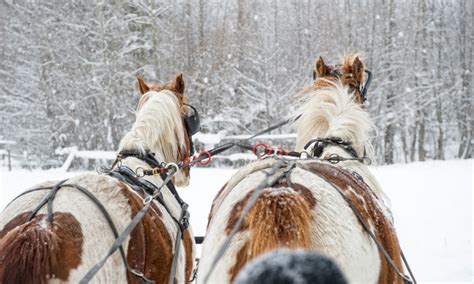 mount hood oregon sleigh rides alltrips