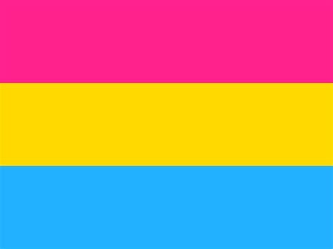 pansexual vs bisexual understanding the difference