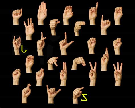 dingdong  sign language alphabet