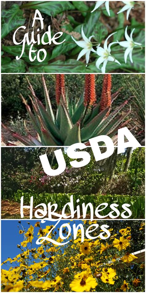 guide  usda hardiness zones dengarden