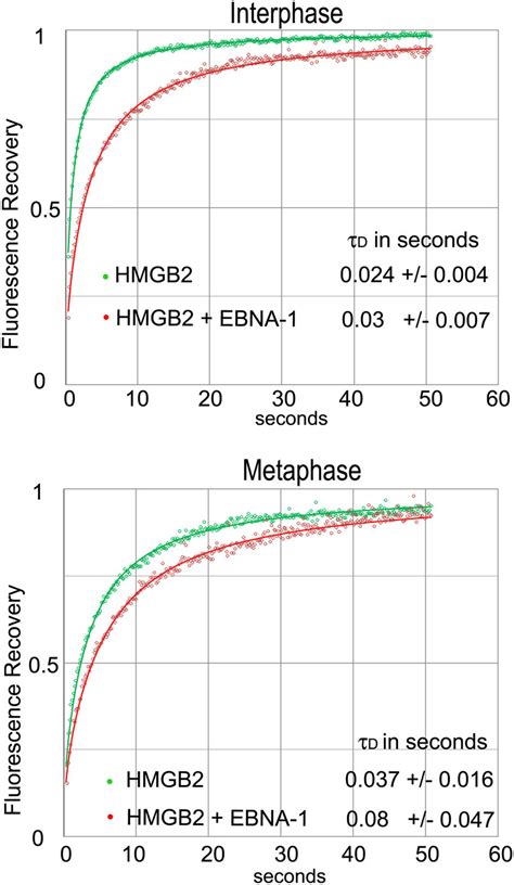 frap analysis   hmgb mobility  reduced   presence  scientific