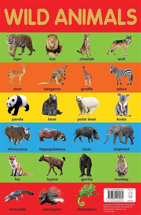 wild animals chart