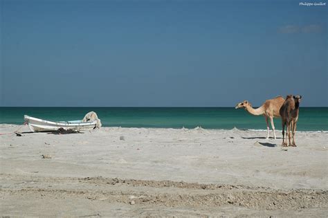 the world s best photos of masirah flickr hive mind