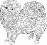 Pomeranian Drawing Getdrawings Dog Zentangle sketch template