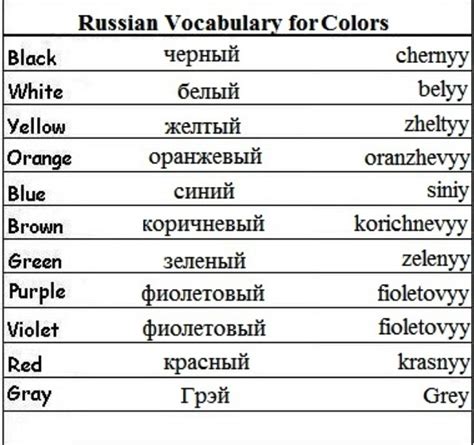 basic russian vocabulary words russian language lessons learn russian