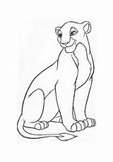 Lioness Coloring Pages Drawing Lion Printable Getdrawings Color Drawings Sheet sketch template