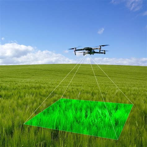 drone technology revolutionises crop walking skippy scout