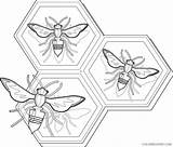 Coloring Bee Honeycomb Honey Coloring4free Bees Related Posts sketch template