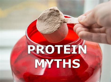 The Truth About Protein Myths Debunked Shreddedcore
