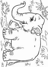 Coloring Olifant Aziatische Elefant Asiatischer Elefante Asiatico Kleurplaat Elefanten Schoolplaten Malvorlage Jungle Malvorlagen Ausmalbild Ausmalen sketch template