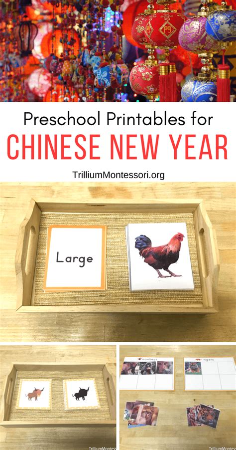 chinese  year preschool activities