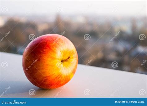 fresh apple stock image image  food sunny fruit