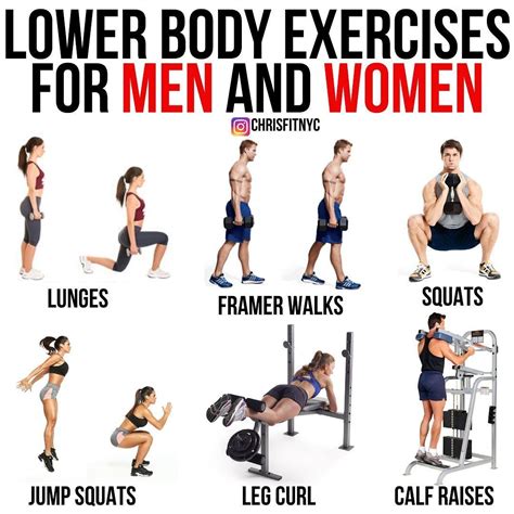 dumbbell workouts  stronger  leaner legs