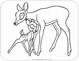 Bambi Mother Coloring Pages His Disneyclips sketch template