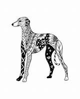 Greyhound Levriero Zentangle Stiliserad Stilizzato Vettore Stylized Freehand Vektorillustration Stilisiert Poljak sketch template