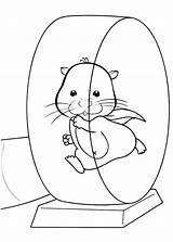 Hamster Coloring Pages Wheel Pet Running Cartoon Gerbil Exercise Dwarf Printable Cute Drawing Kids Color Sheet Getcolorings Print Getdrawings sketch template