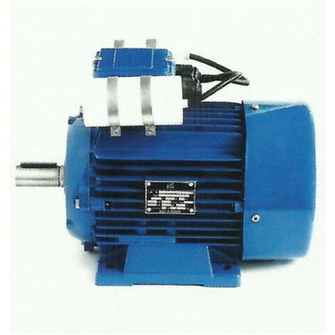 electric motor   kw